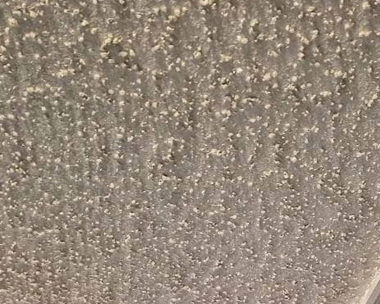 Popcorn drywall texture